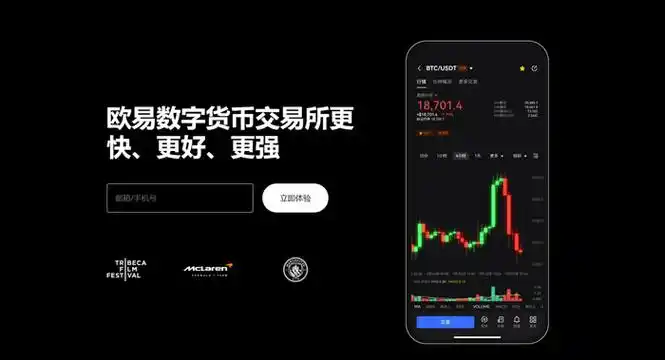 易欧平台展示图